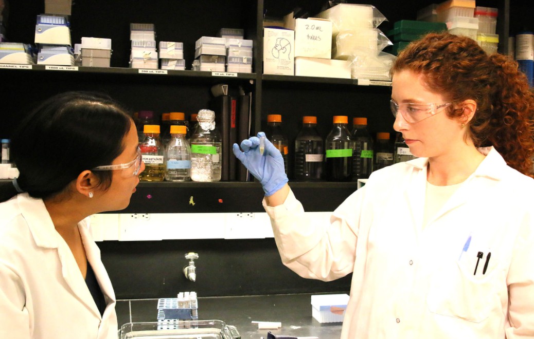 天富测速普渡大学的研究人员设计了仿生弹性蛋白医用胶粘剂