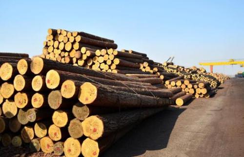 海陆运费增加致木材天富登录成本上涨 木材提价板上钉钉