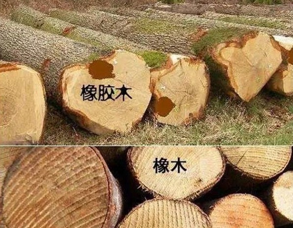 红橡木家具变成橡胶木 商家拒绝退货天富测速