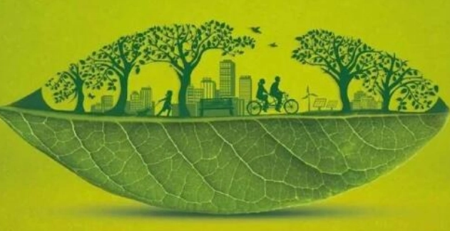 家居领军企业美巢：环保与科技同助力，践行绿色理念沐鸣
